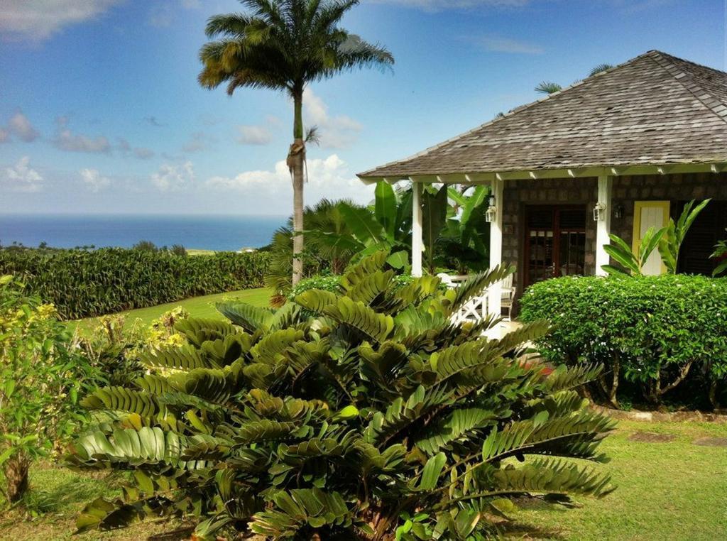 Cayon Ottleys Plantation Inn מראה חיצוני תמונה